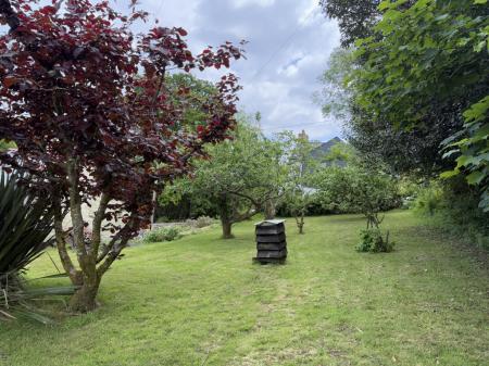 Gardens to front/side with mature fruit trees