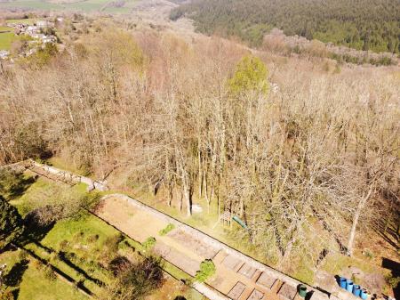 Woodlands