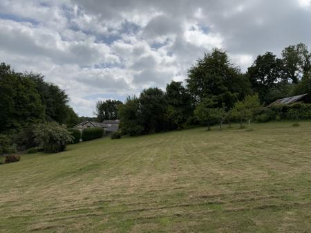 Orchard Field