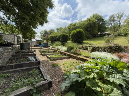 Large vegetable/cut flower garden