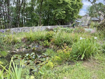 Two ponds