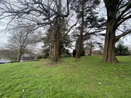 Communal Woodland