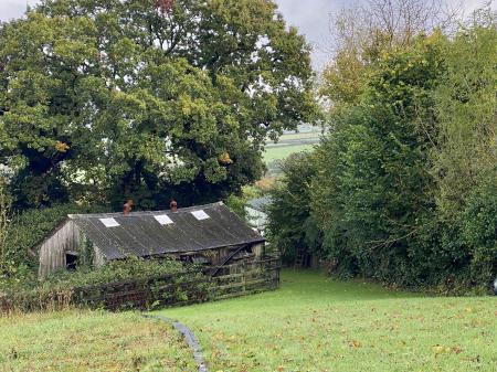 The Old Chicken Coop