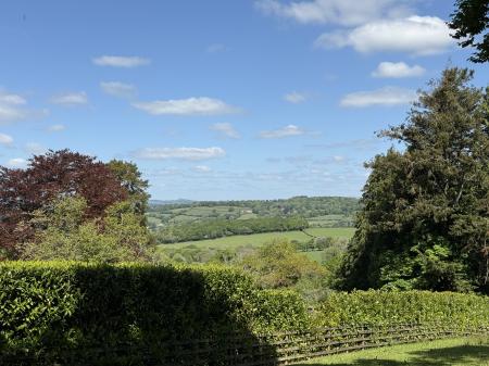Far reaching views to Brentor