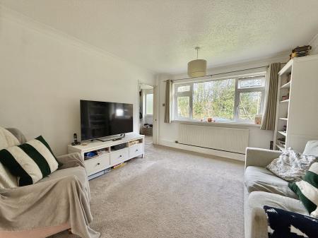 Bright Sitting Room