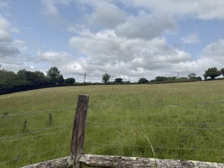 Nearby Fields