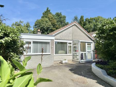 Spacious Corner Plot Bungalow