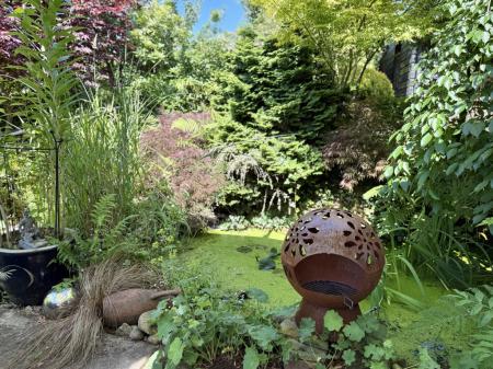 Wildlife Pond