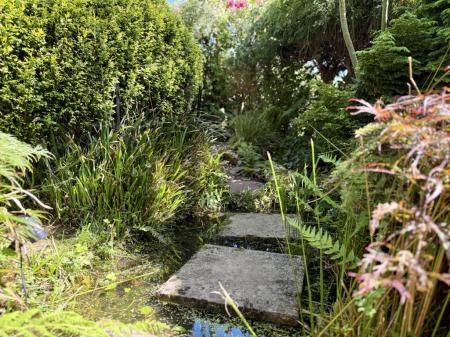 Stepping Stones