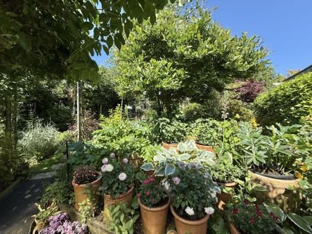 Beautiful Gardens