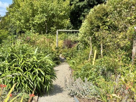 Pretty Flower Beds