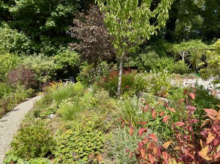 Pretty Flower Beds