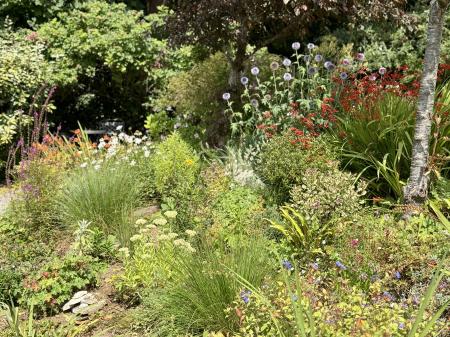Pretty Flower Beds
