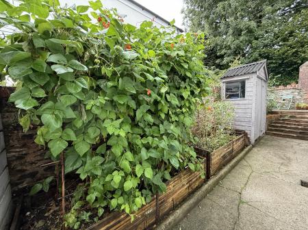 Raised Beds