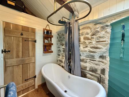 Freestanding Bath with Shower