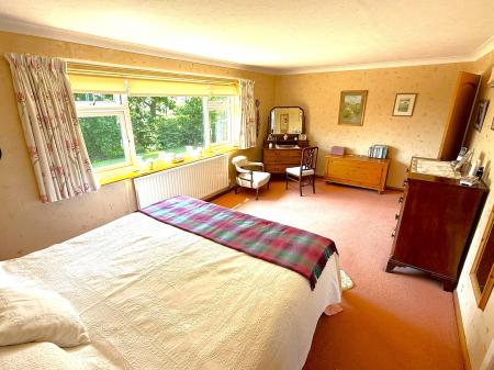 IMG_8191 - Copy.JPEG