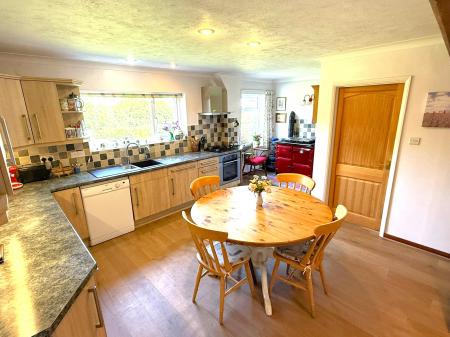 IMG_8169 - Copy.JPEG