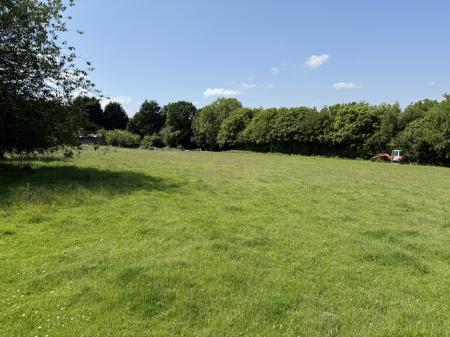 IMG_8230 - Copy.JPEG