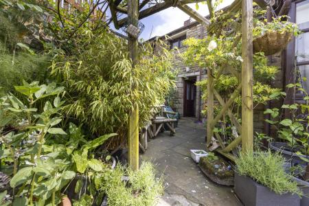 Enclosed Rear Patio Garden