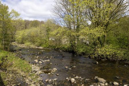 River Views