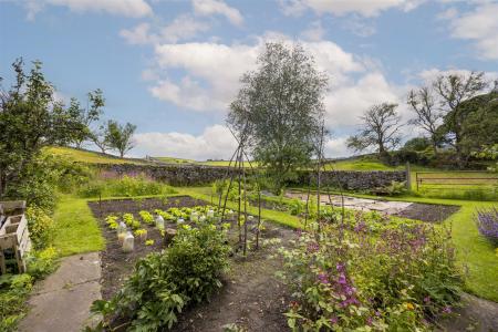 Vegetable Garden