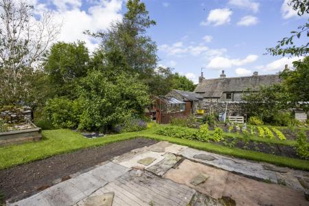 Vegetable Garden