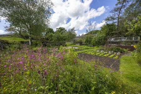 Vegetable Garden