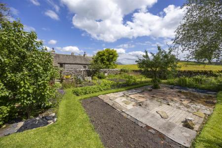 Vegetable Garden