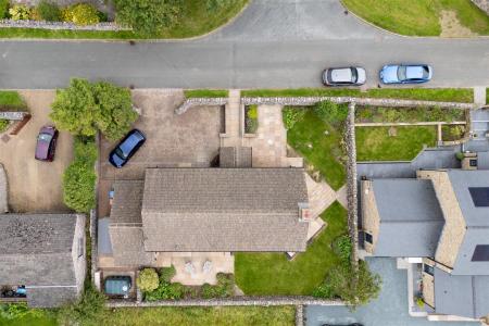 Plot View