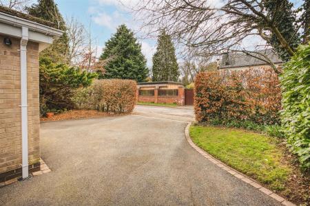 Driveway