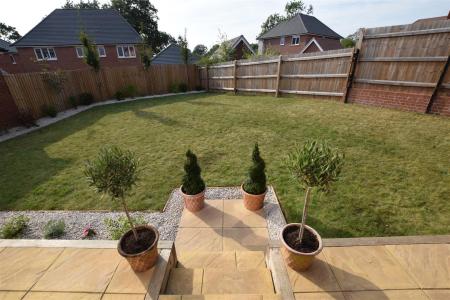garden 1.JPG
