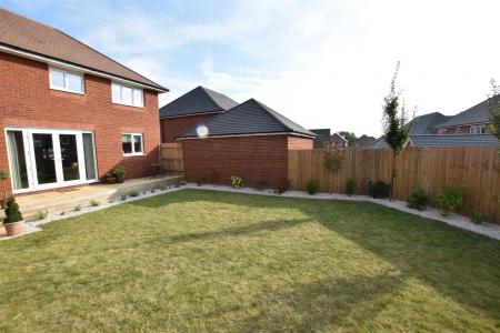 garden 4.JPG