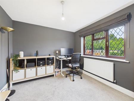 Family Room/Study