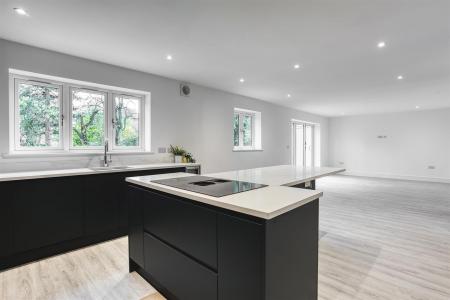 Living Kitchen/Dining Room