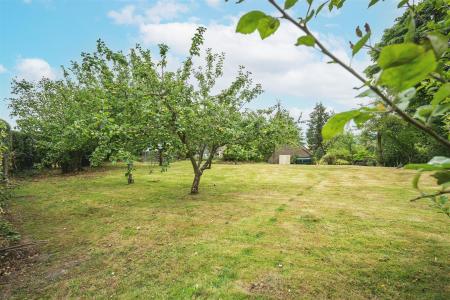 Gardens and Woodland