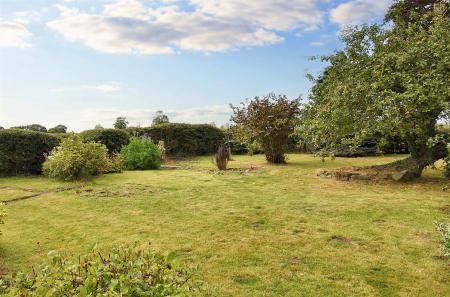 Private Mature Gardens - 0.37 acre.