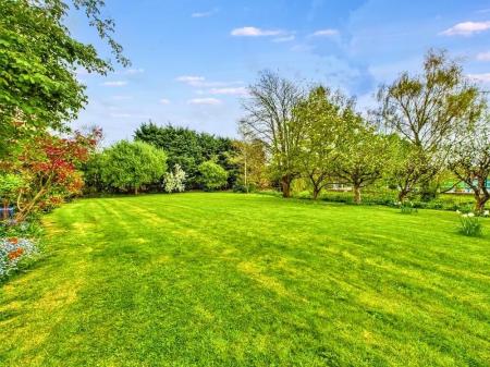 Stunningly Maintained Garden Area