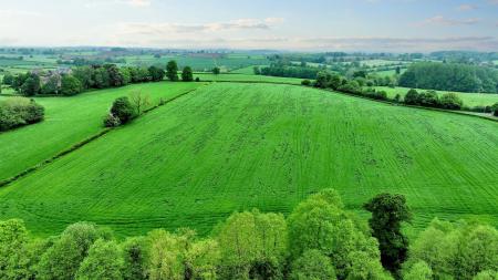 Surrounding Field.jpeg