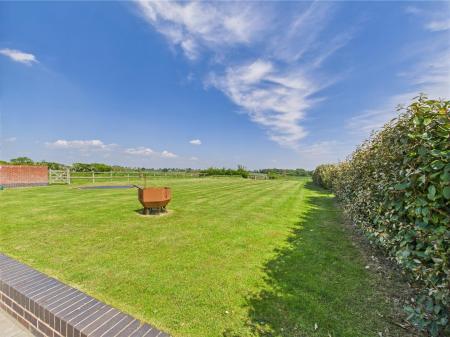 Stunning Rear Garden