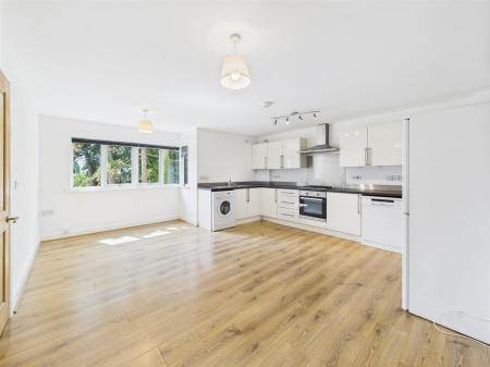 Spacious Open Plan Living/Dining Kitchen