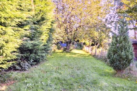 Derby Rd Rear Lawn Area.jpeg