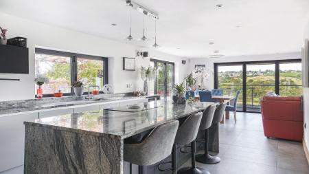 Living Kitchen/Dining/ Family Room