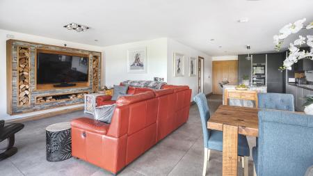 Living Kitchen/Dining/ Family Room