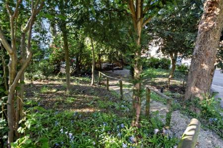 Beautiful Walkway.jpeg