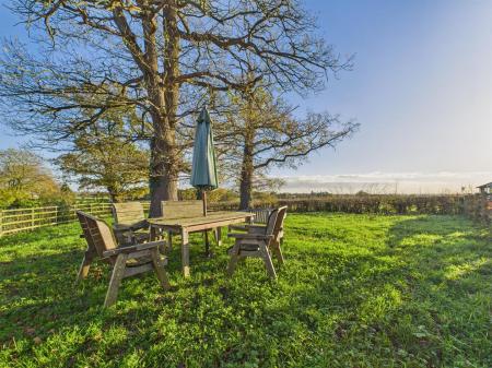 Garden Area Three (Meadow)