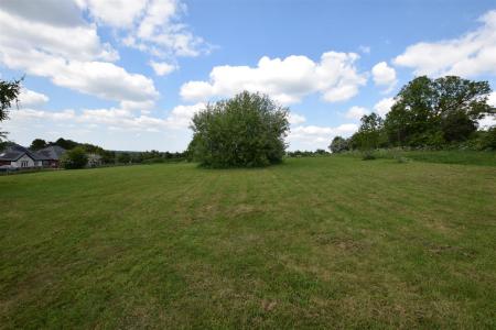 Common Green Area