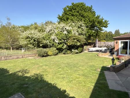 Photo 24