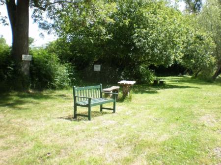 Photo 12