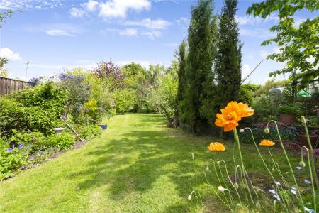 Generous Garden