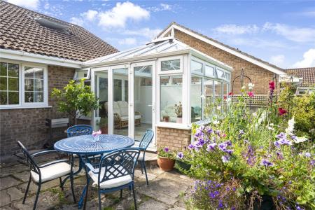 Sunny Patio